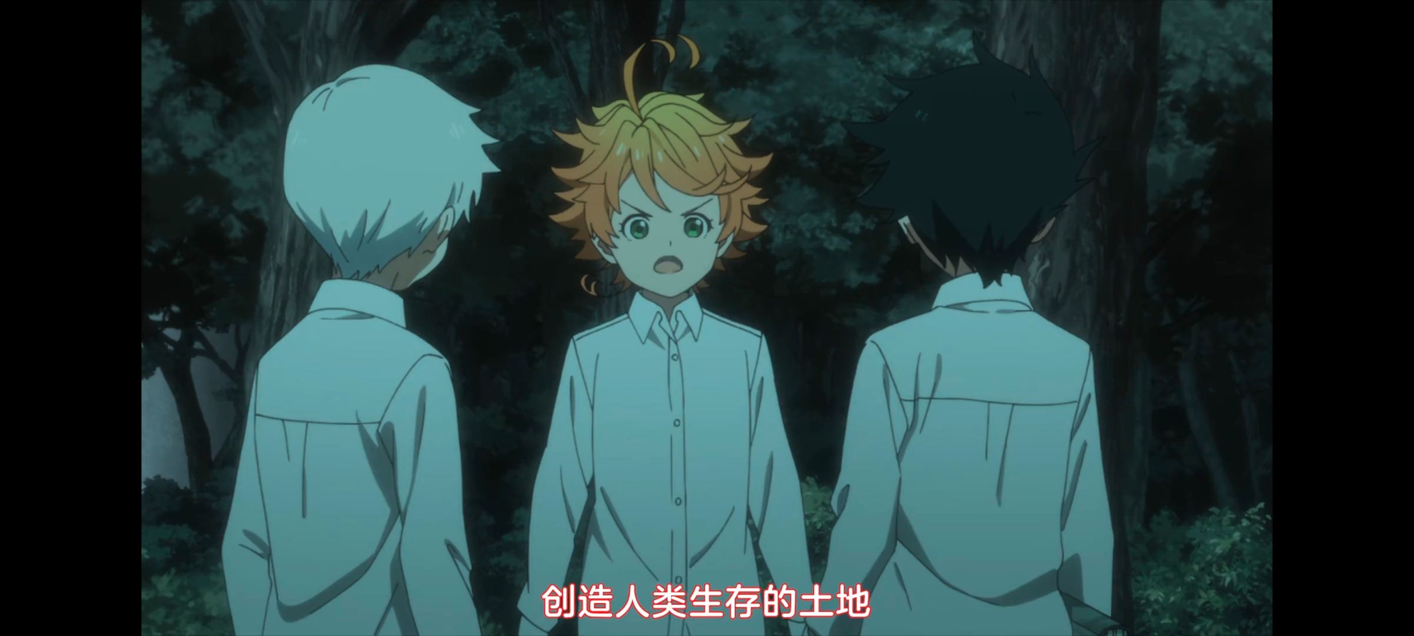 约定的梦幻岛,动画,动漫,番剧,ACG