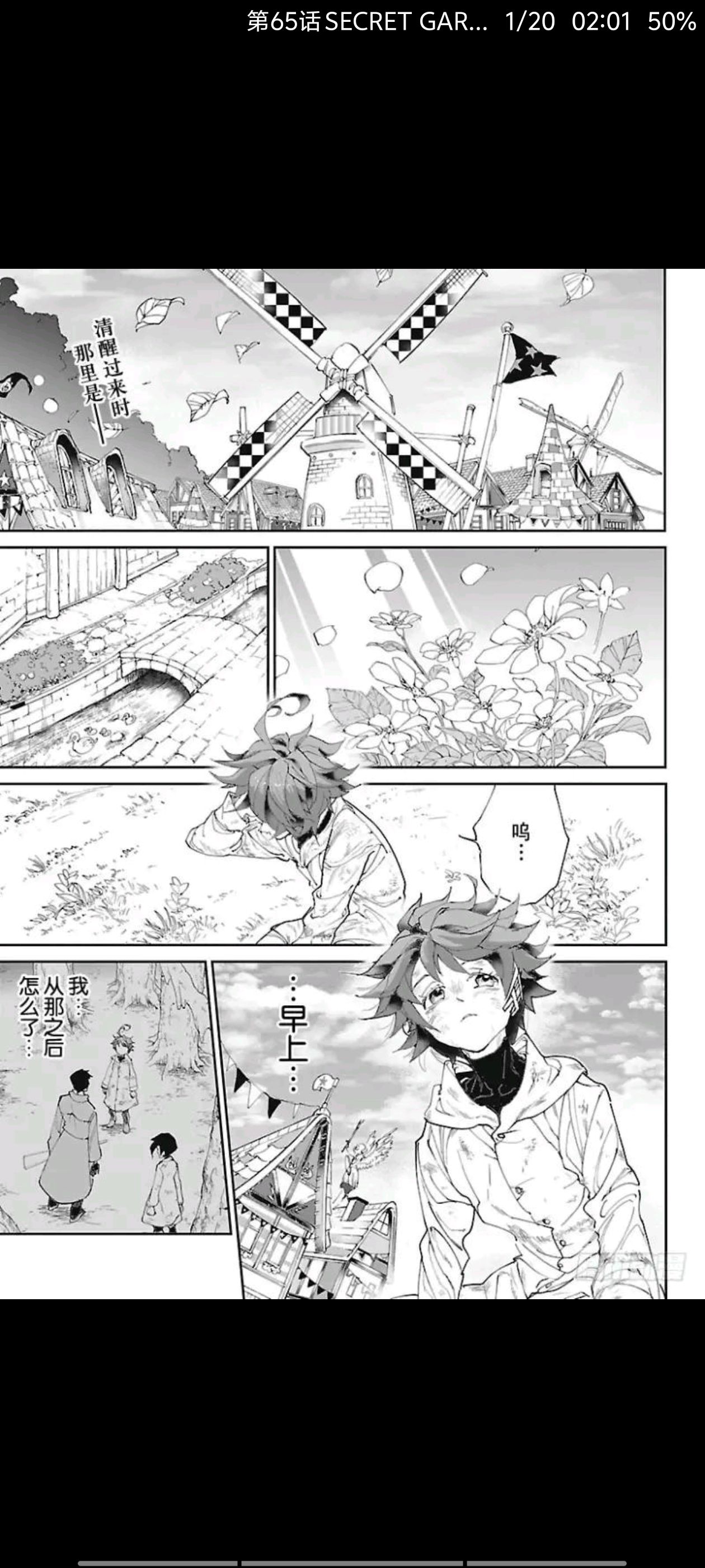约定的梦幻岛,动漫,漫画,ACG
