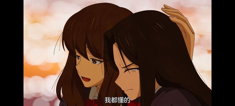 尼古喵喵,雅尼猫,动画,动漫,番剧,日漫,二次元,ACG
