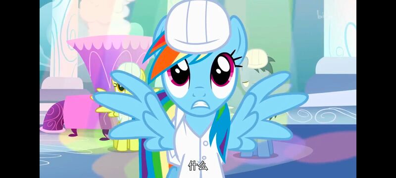 小马宝莉,小马宝莉友谊魔法,彩虹小马,我的小马驹,动画,动漫,番剧,ACG