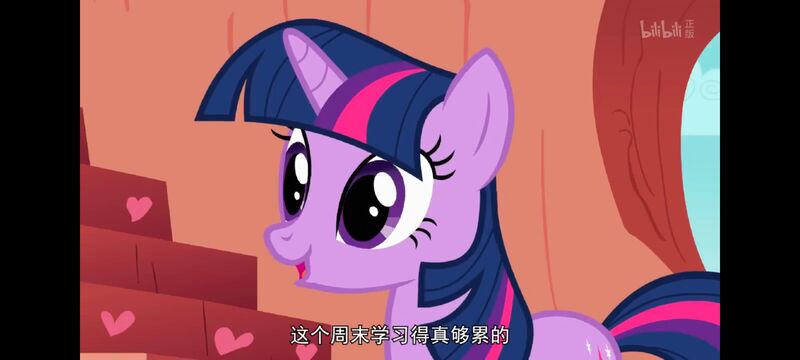 小马宝莉,小马宝莉友谊魔法,彩虹小马,我的小马驹,动画,动漫,番剧,ACG