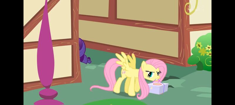 小马宝莉,小马宝莉友谊魔法,彩虹小马,我的小马驹,动画,动漫,番剧,ACG