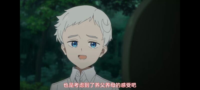 约定的梦幻岛,动画,动漫,番剧,ACG