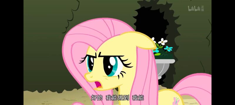 小马宝莉,小马宝莉友谊魔法,彩虹小马,我的小马驹,动画,动漫,番剧,ACG