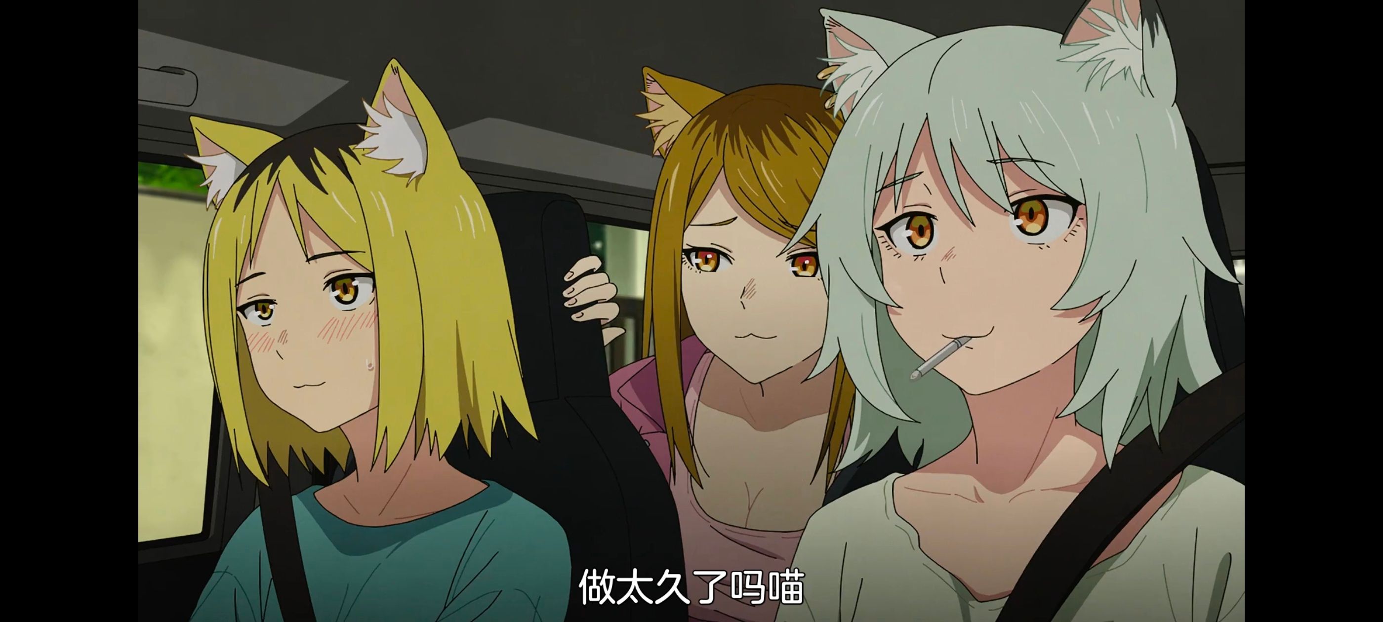 雅尼猫,尼古喵喵,动画,动漫,番剧,日漫,二次元,ACG