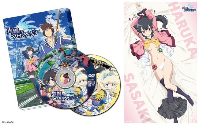 二次元,失传媒体,ACG,动画,OVA,DVD