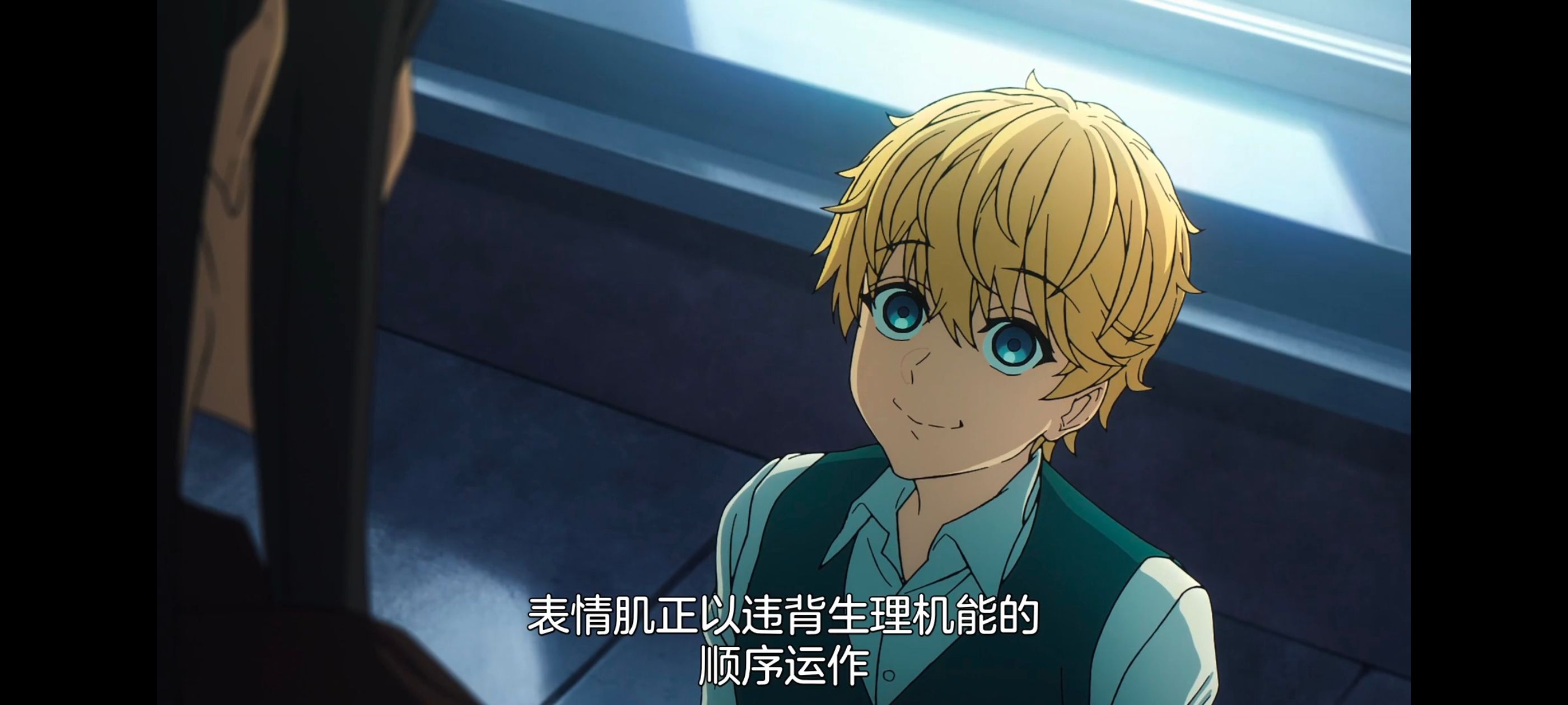 命运奇异赝品,FatestrangeFake,FATE,动画,动漫,番剧,二次元,ACG