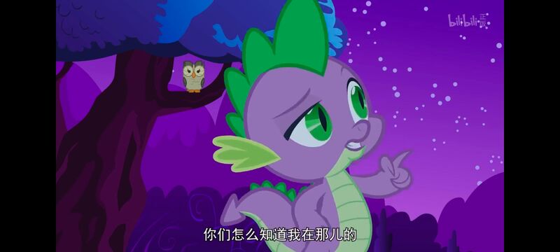 小马宝莉,彩虹小马,我的小马驹,动画,动漫,番剧,ACG,小马宝莉友谊魔法