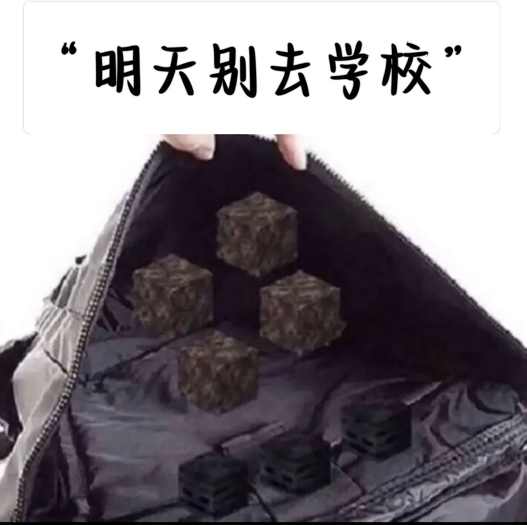 /static/e5b4b86cb7da6494888c489c3a2023e51e57d4d6c7a14e3c78d6094565d5f5bd.jpg