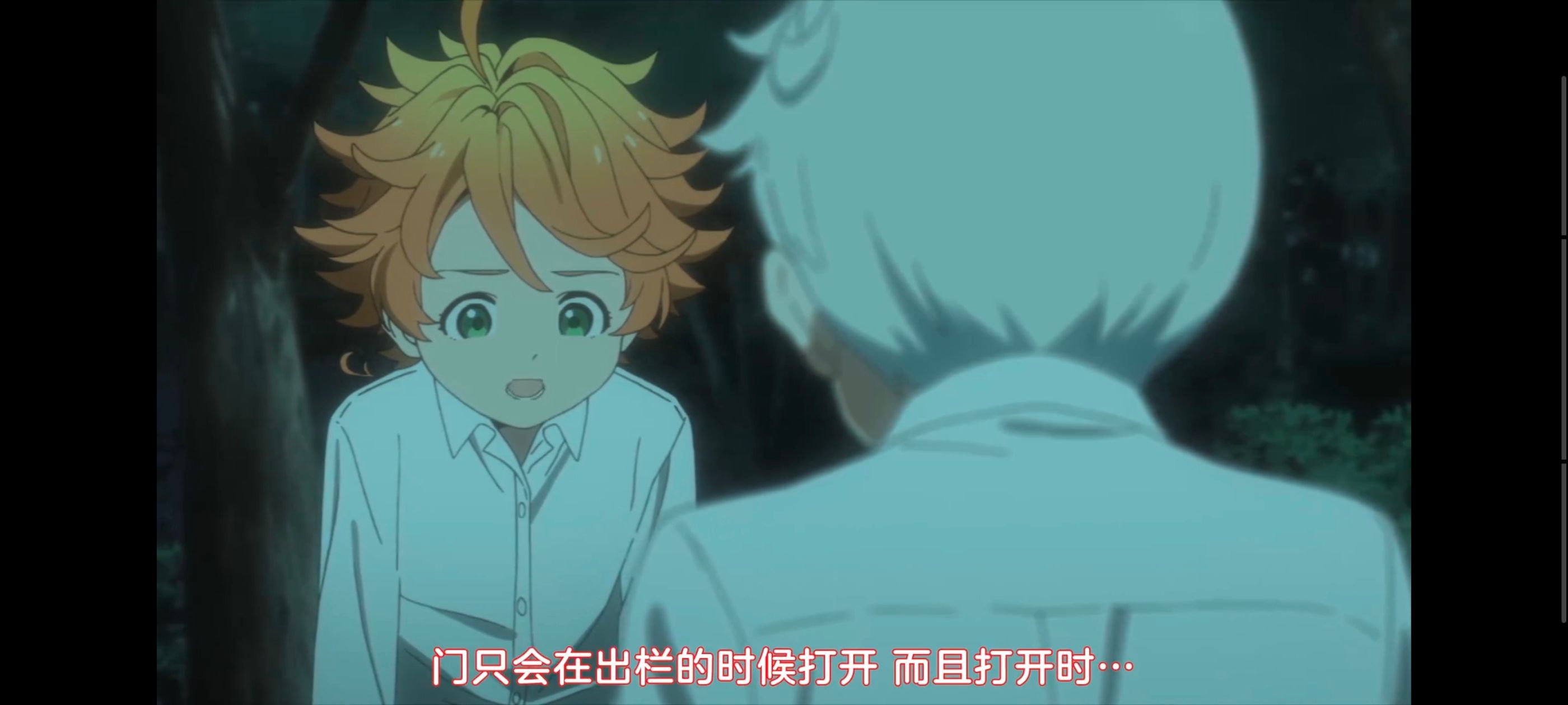 约定的梦幻岛,动画,动漫,番剧,ACG