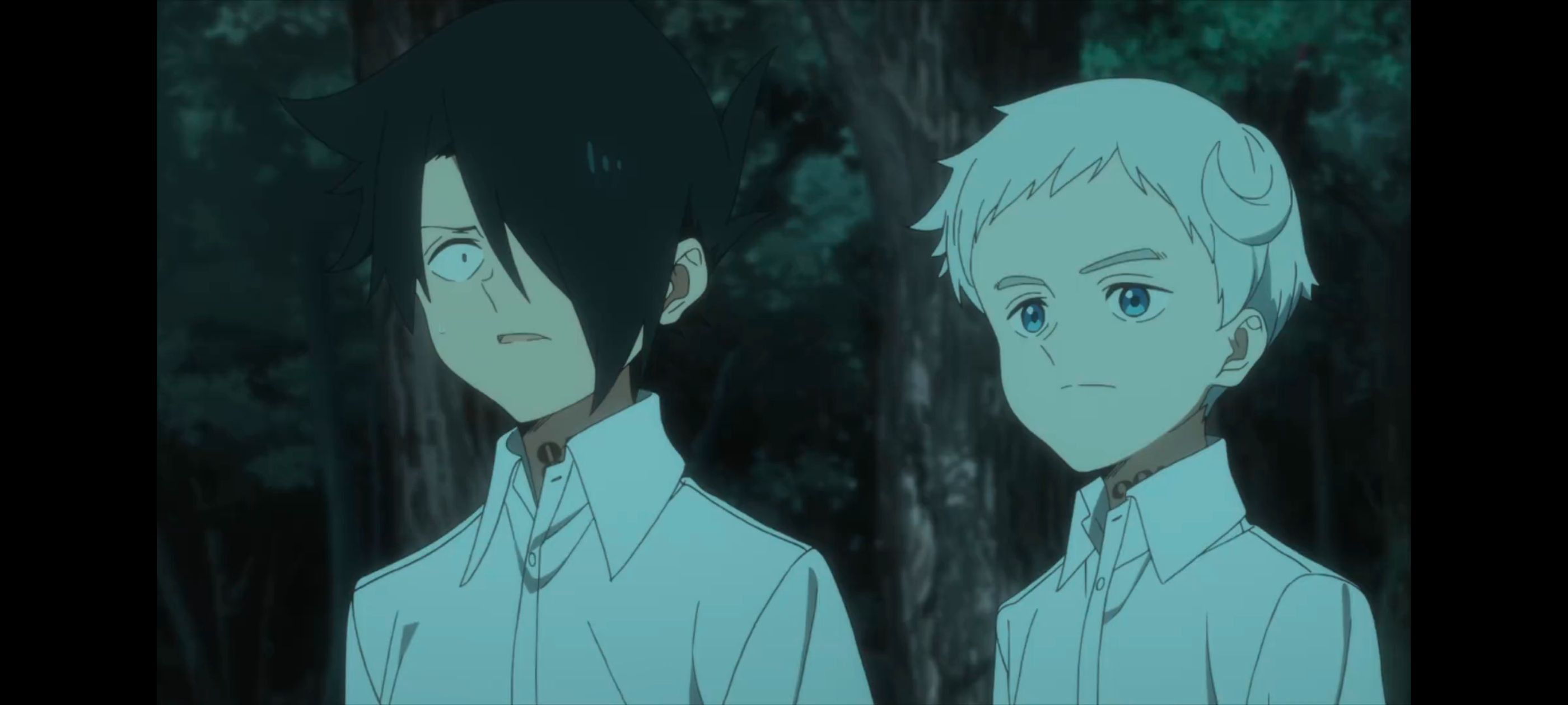 约定的梦幻岛,动画,动漫,番剧,ACG