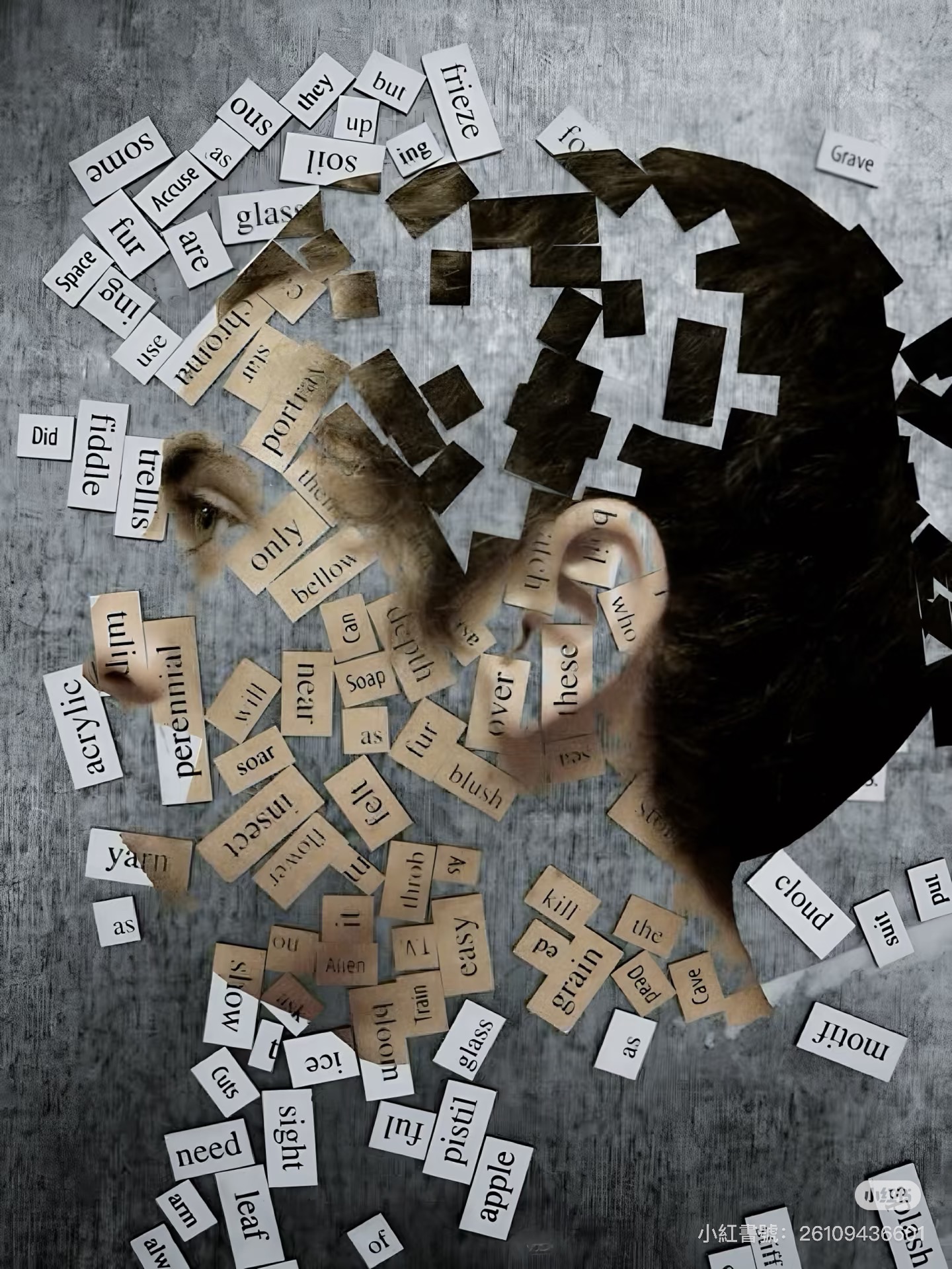 星空,蓝与白杂志,未来,预测