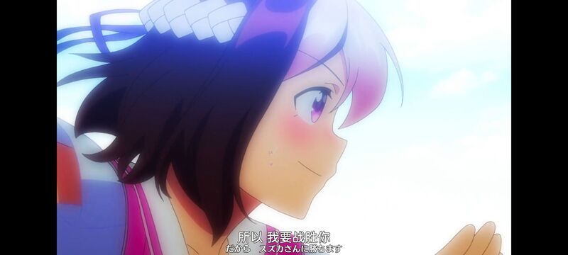 赛马娘,赛马娘PrettyDreby,动画,动漫,番剧,ACG