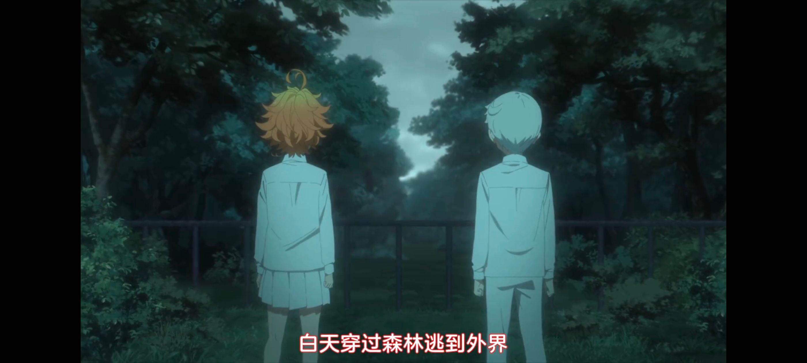 约定的梦幻岛,动画,动漫,番剧,ACG