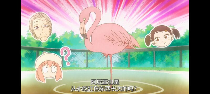 间谍过家家,SPYFAMILY,动画,动漫,番剧,ACG