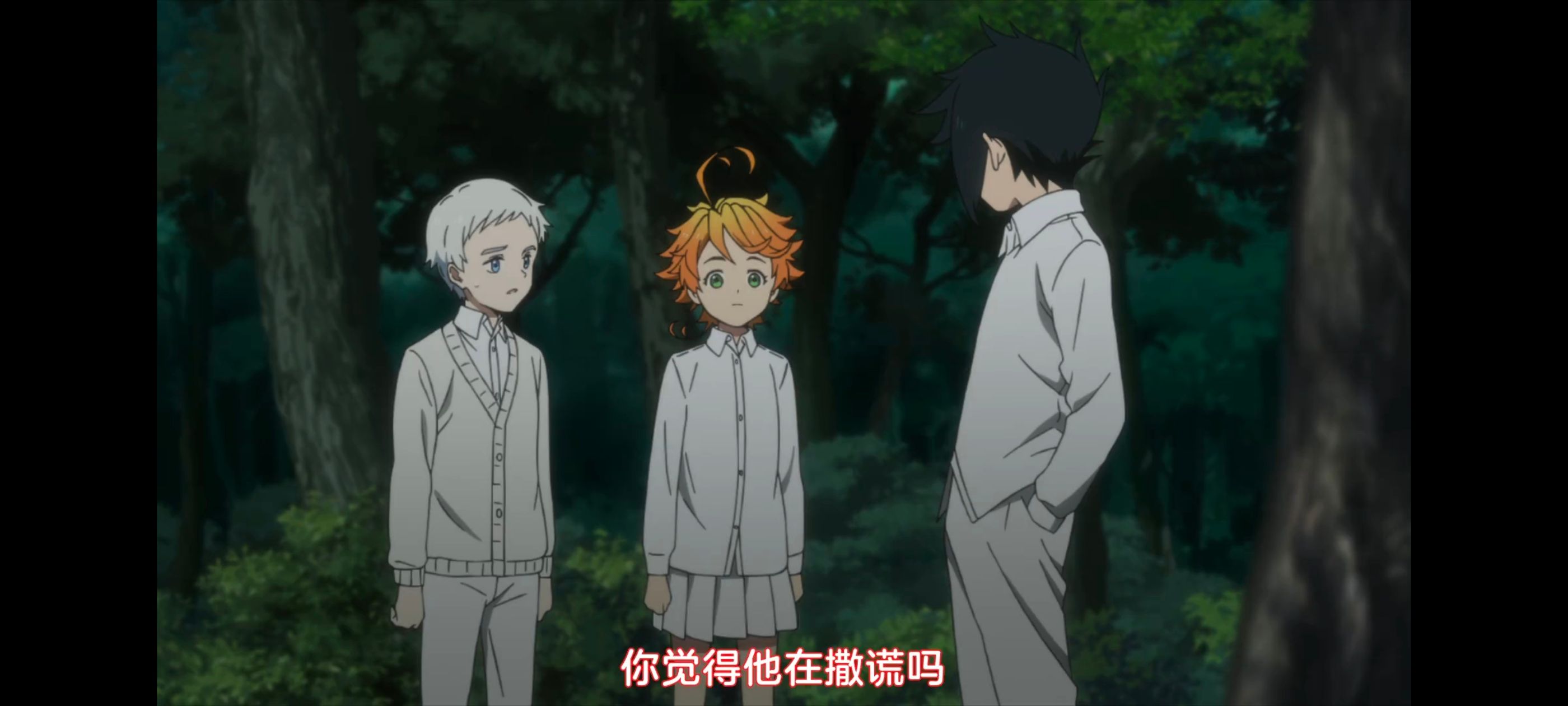 约定的梦幻岛,动画,动漫,番剧,ACG