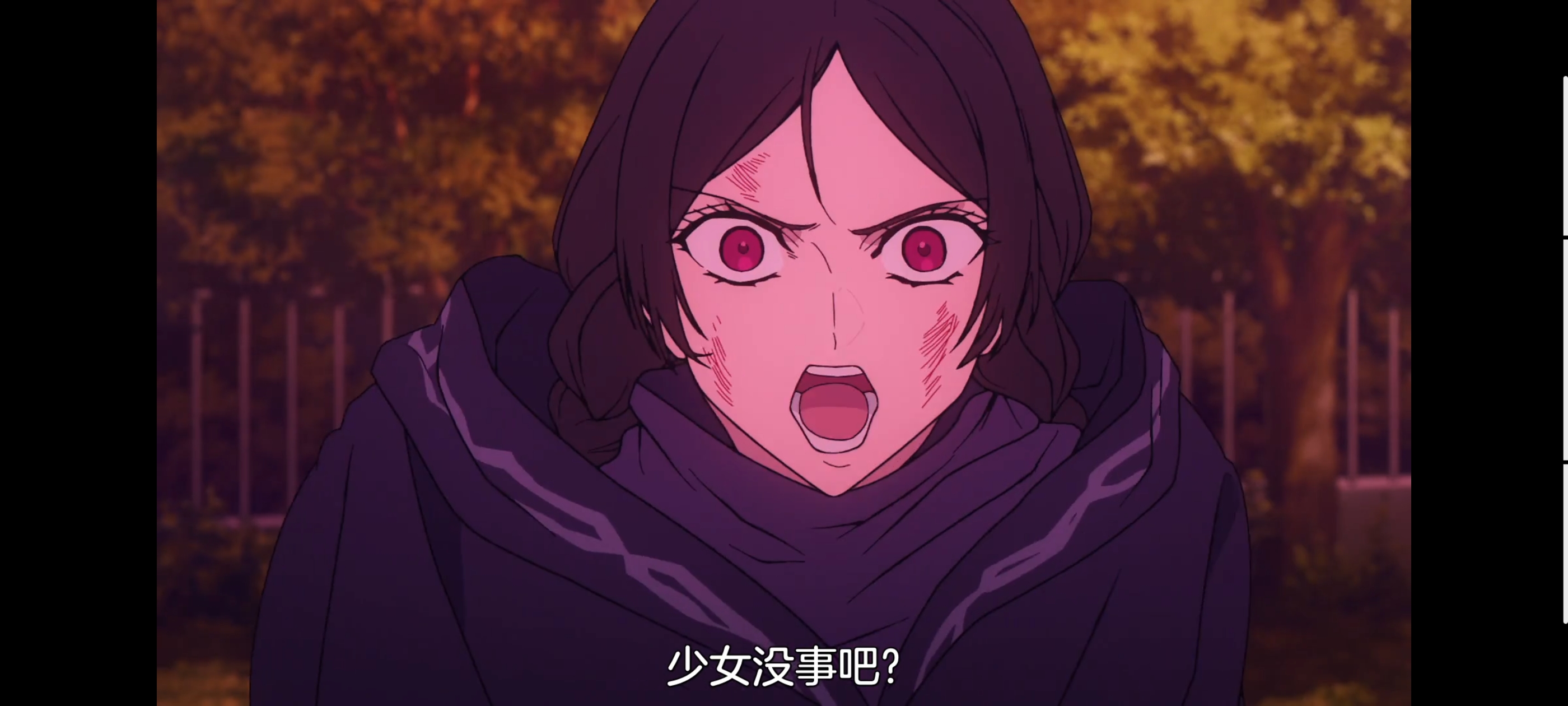 FATE,命运奇异赝品,FatestrangeFake,动画,动漫,番剧,二次元,ACG