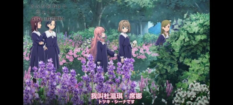 与你相恋到生命尽头,与你相恋到世界尽头,动画,动漫,番剧,百合,二次元,ACG