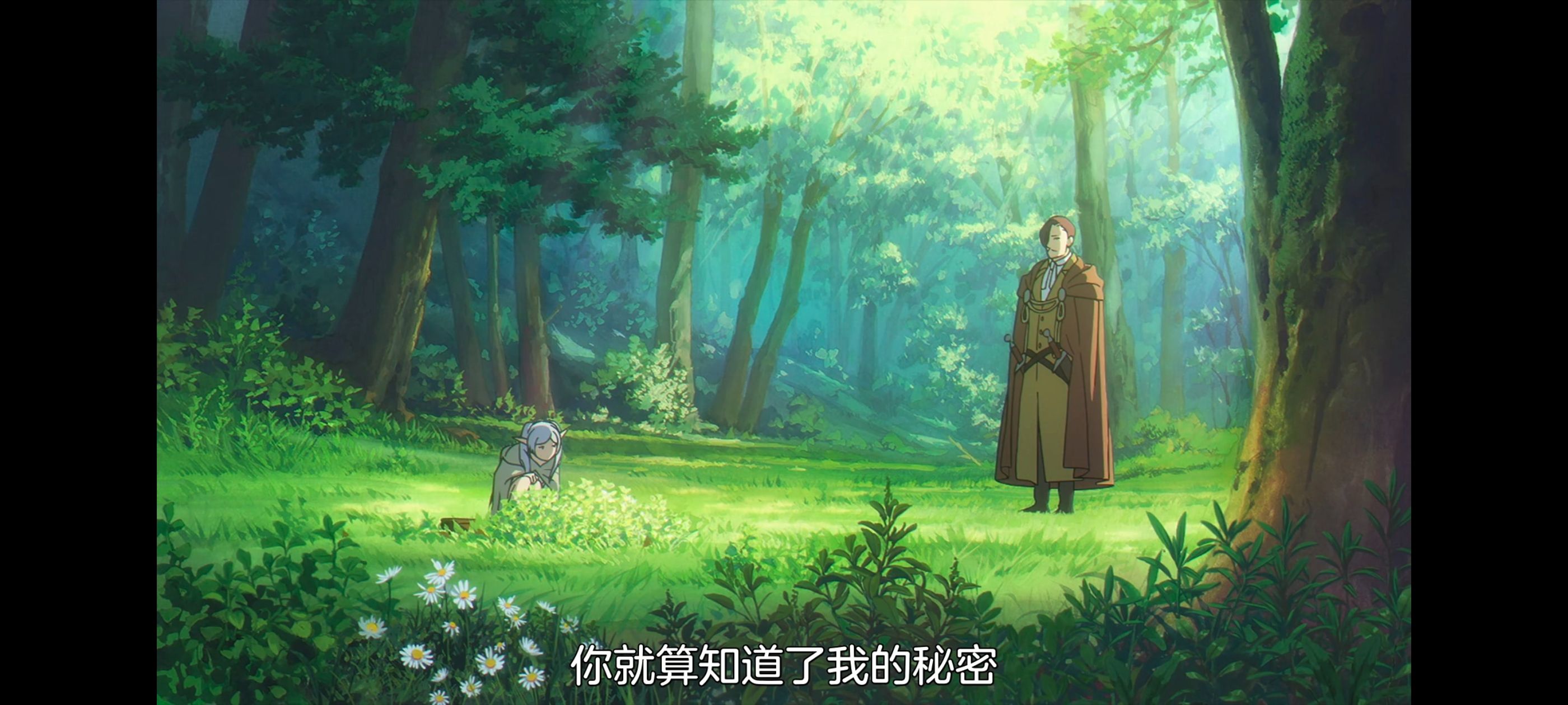 葬送的芙莉莲,动画,动漫,番剧,ACG