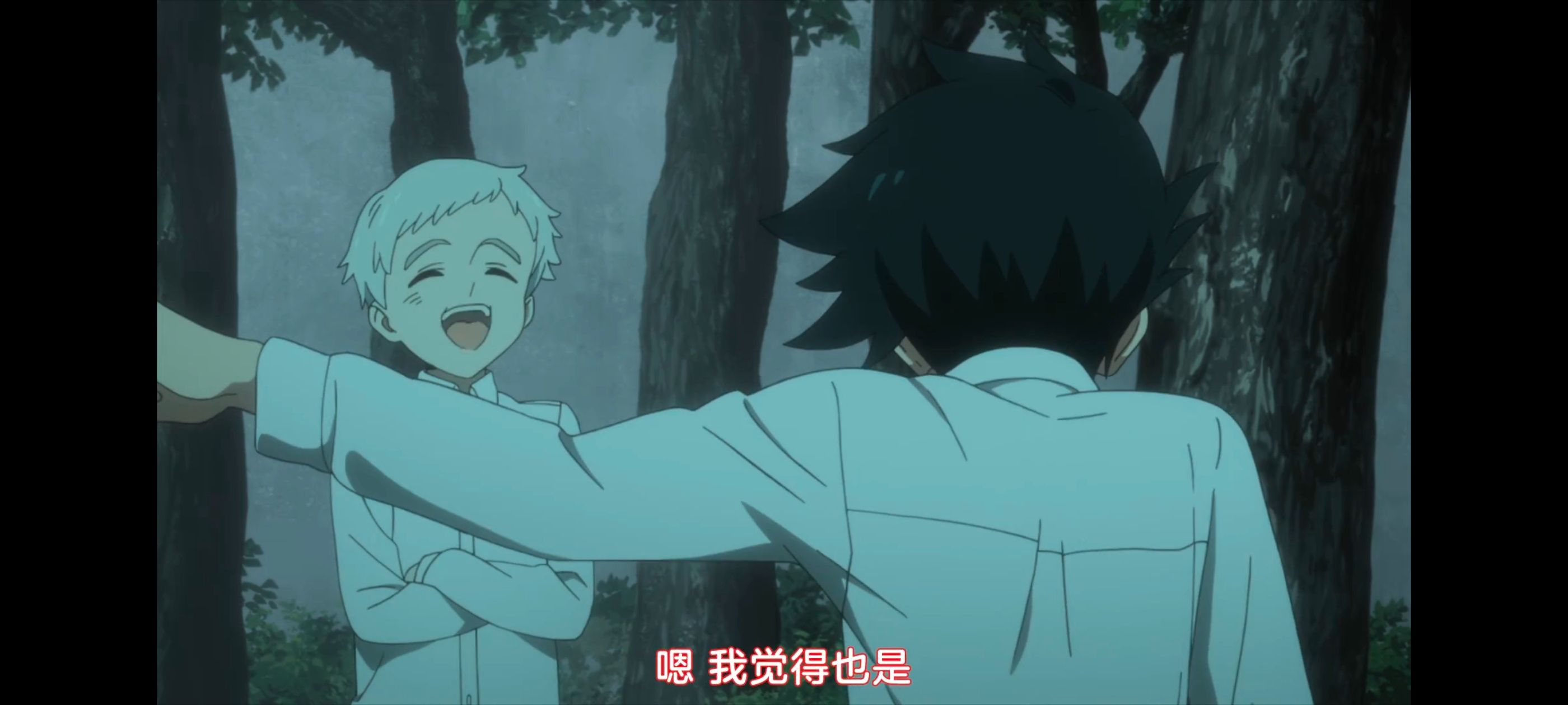 约定的梦幻岛,动画,动漫,番剧,ACG