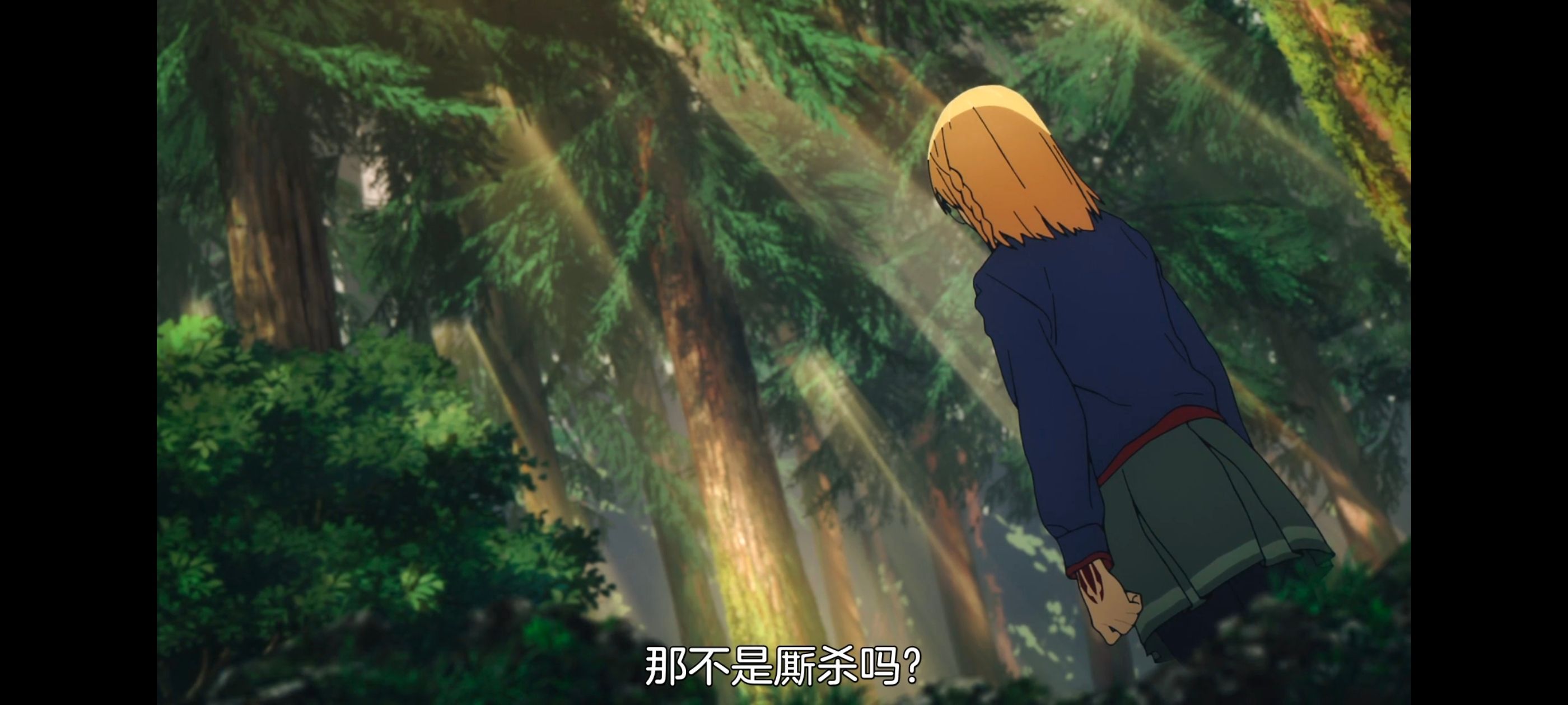 命运奇异赝品,FatestrangeFake,动画,动漫,番剧,ACG