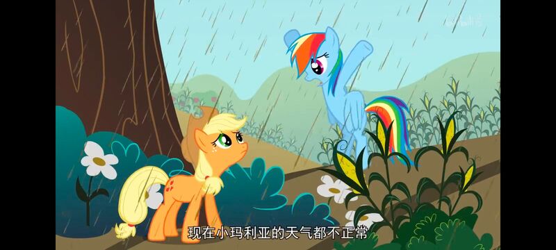 小马宝莉,小马宝莉友谊魔法,彩虹小马,我的小马驹,动画,动漫,番剧,ACG
