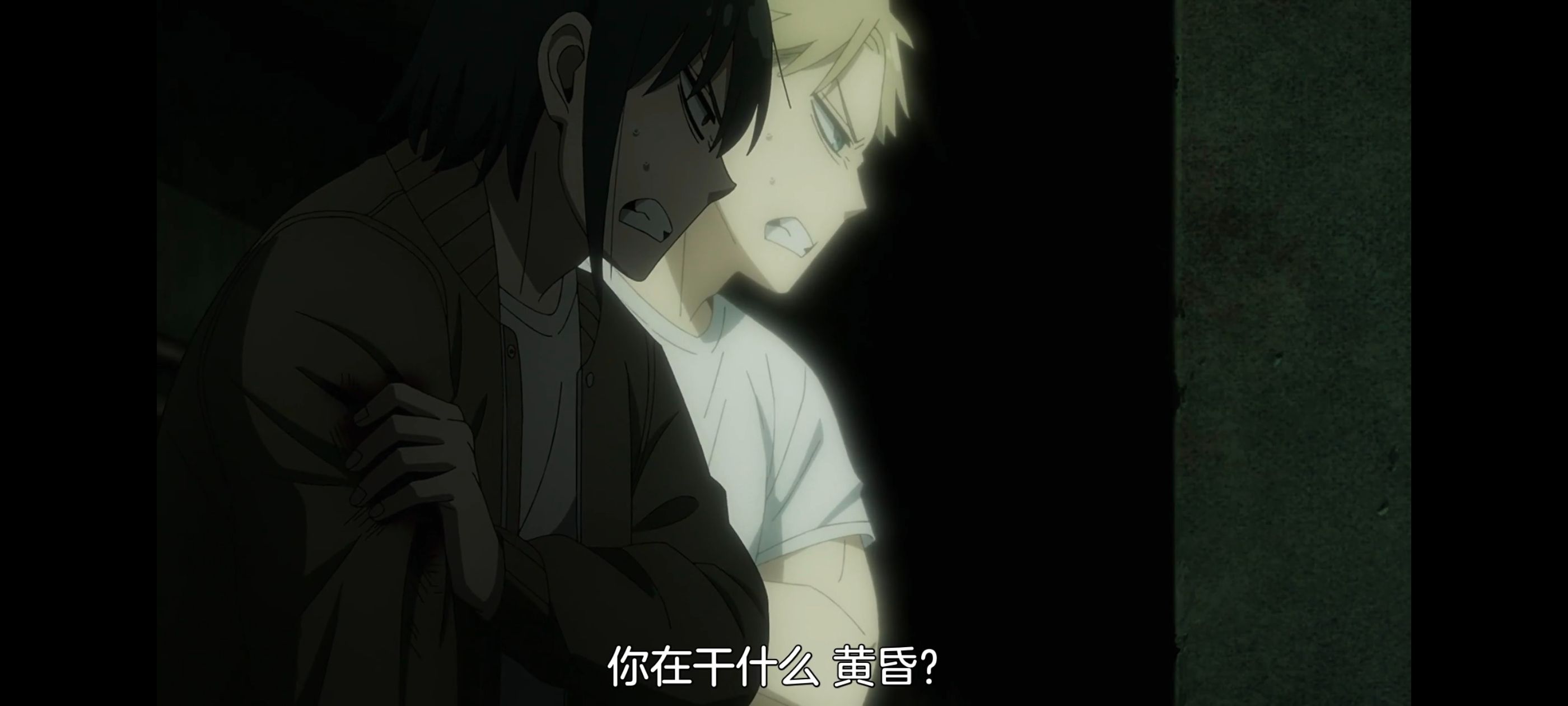 间谍过家家,SPYFAMILY,动画,动漫,番剧,ACG