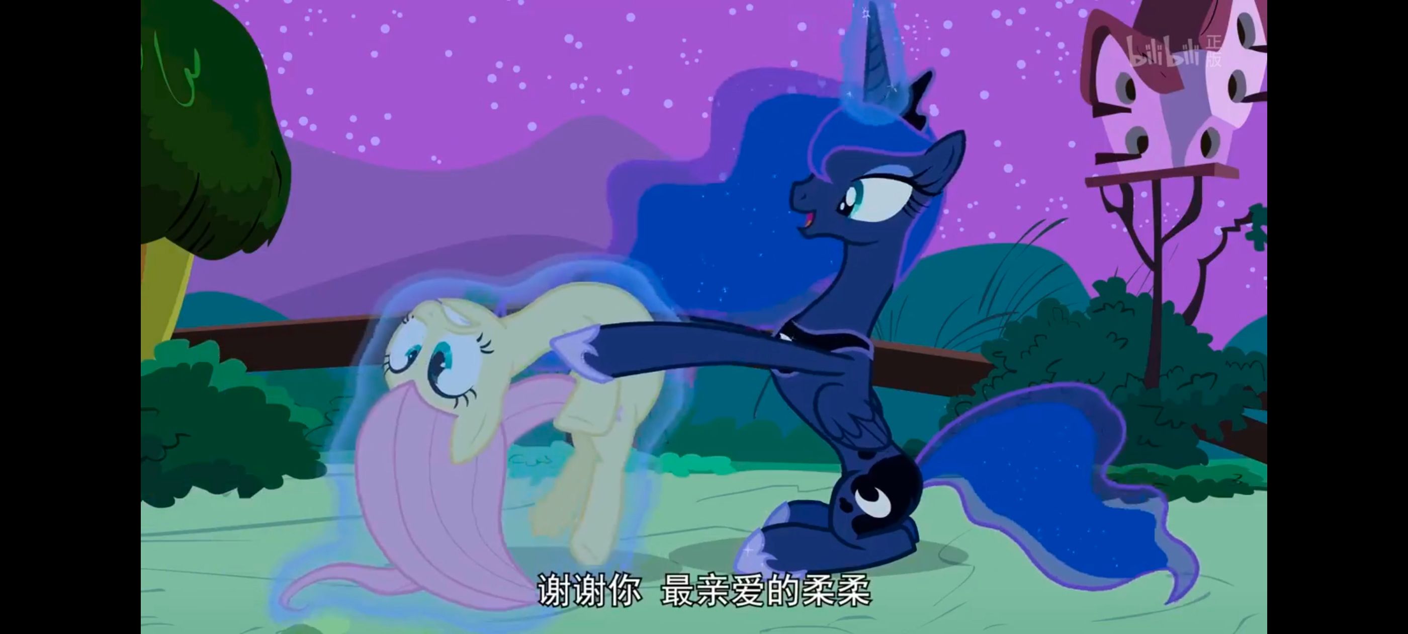 小马宝莉,小马宝莉友谊魔法,彩虹小马,我的小马驹,动漫,动画,番剧,ACG