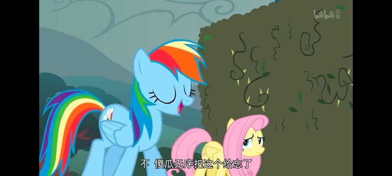 小马宝莉,小马宝莉友谊魔法,彩虹小马,我的小马驹,动画,动漫,番剧,ACG