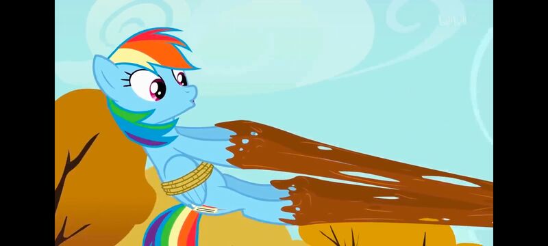 小马宝莉,小马宝莉友谊魔法,彩虹小马,我的小马驹,动画,动漫,番剧,ACG