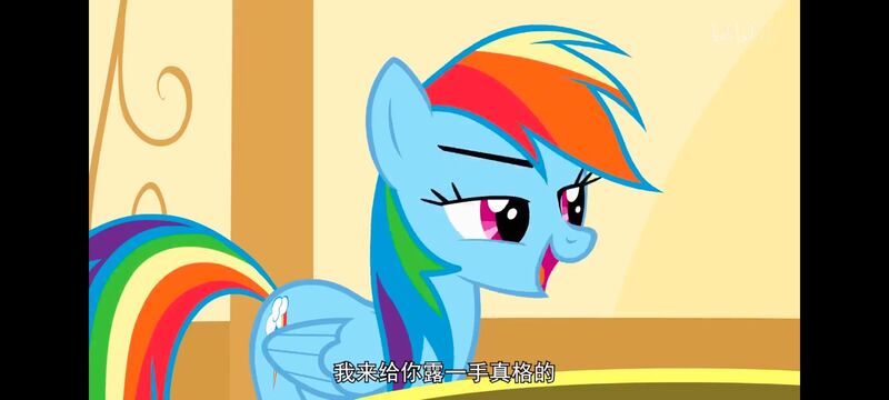 小马宝莉,小马宝莉友谊魔法,彩虹小马,我的小马驹,动画,动漫,番剧,ACG