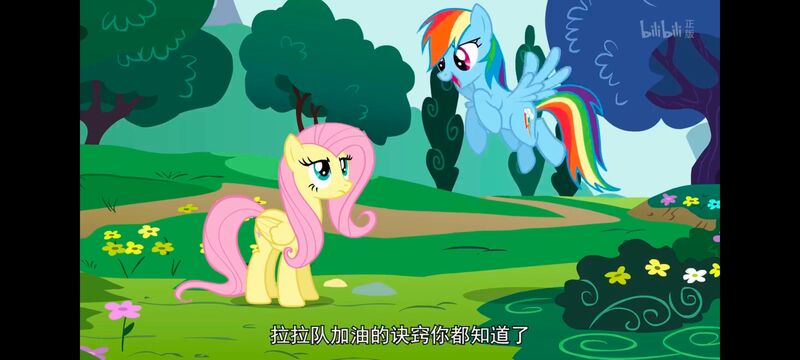 小马宝莉,小马宝莉友谊魔法,彩虹小马,我的小马驹,动画,动漫,番剧,ACG
