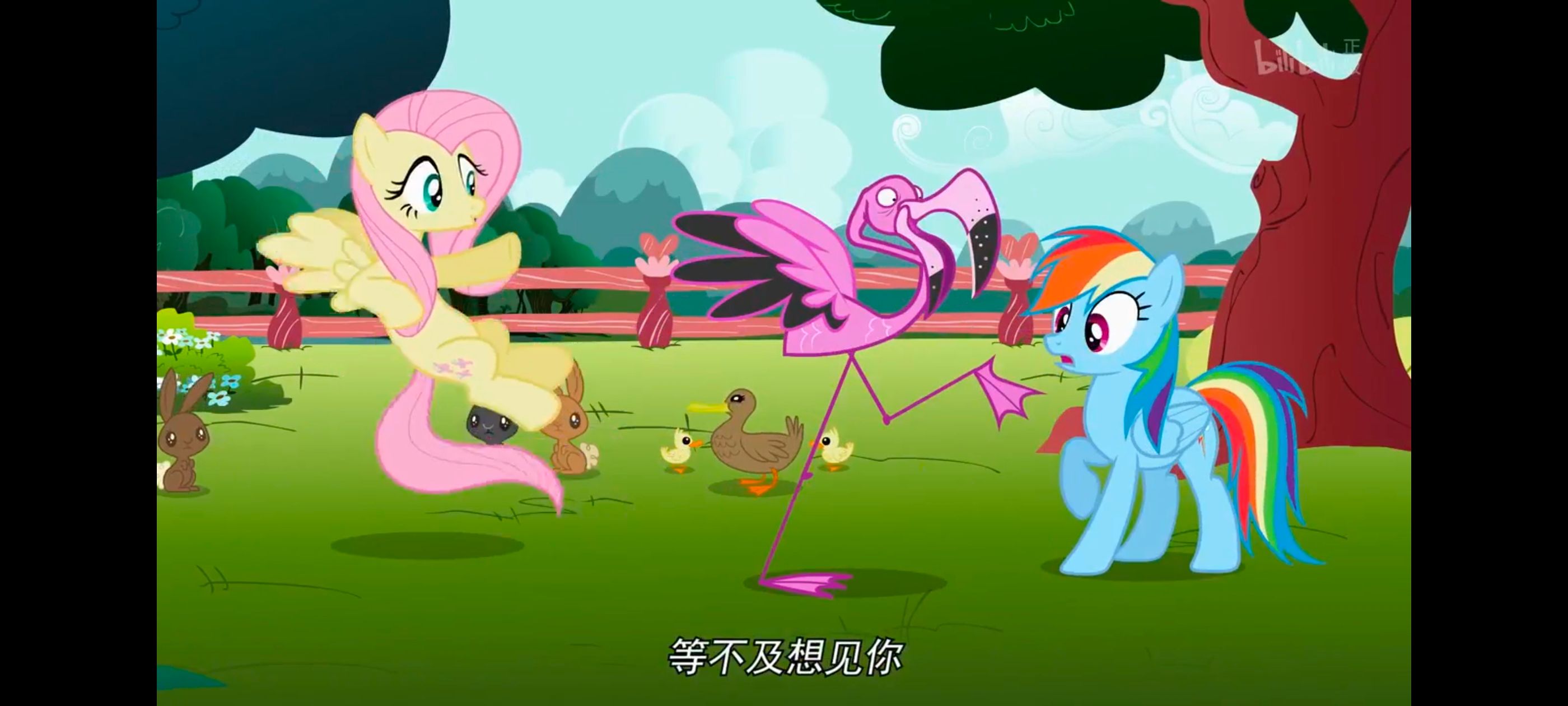 小马宝莉,彩虹小马,我的小马驹,动画,动漫,番剧,二次元,ACG