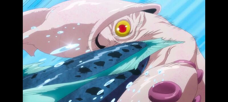 网购技能开启异世界美食之旅,拥有超常技能的异世界流浪美食家,动画,动漫,番剧,ACG