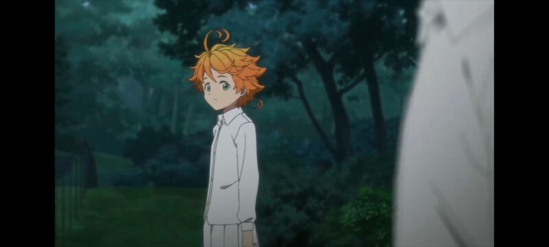 约定的梦幻岛,动画,动漫,番剧,ACG