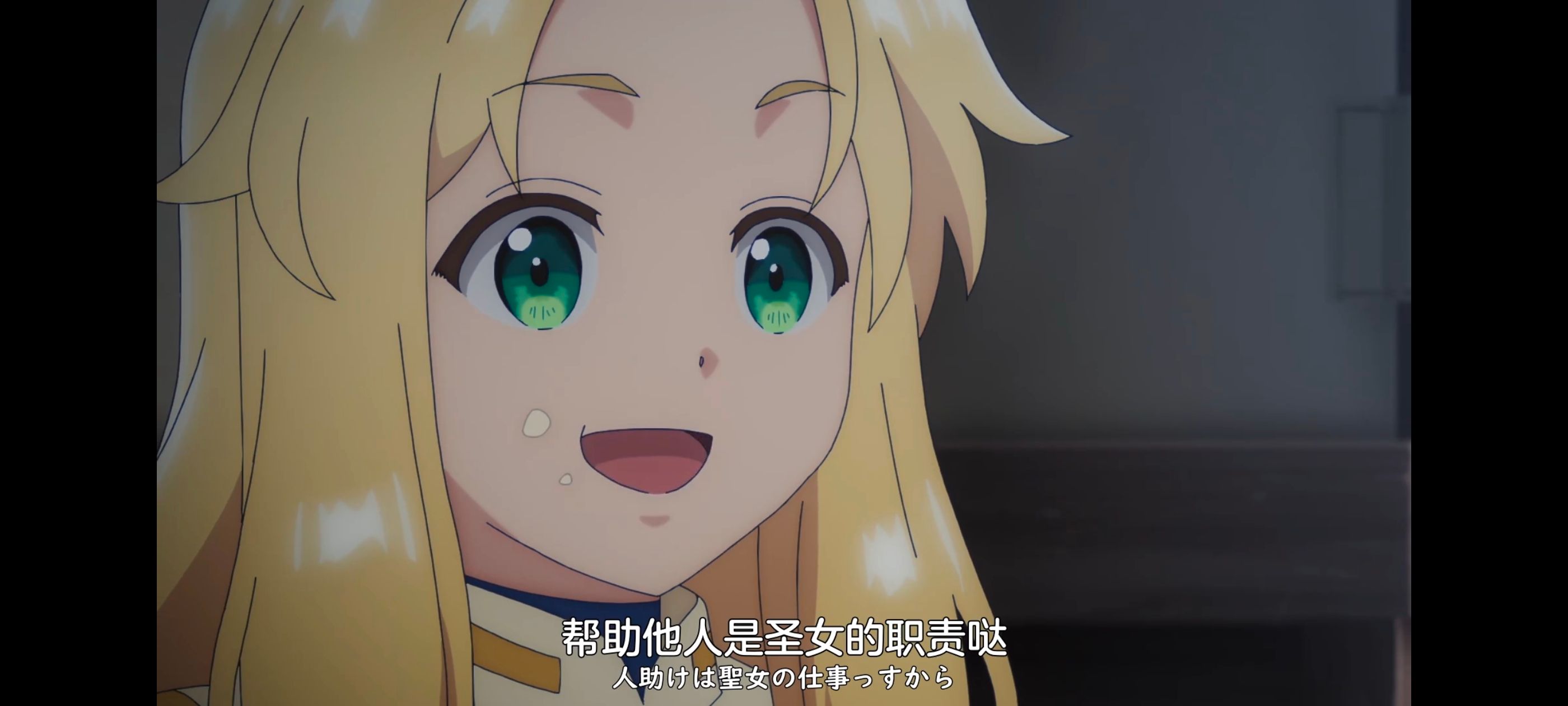 凭你也想讨伐魔王,你这种家伙别想打败魔王,动画,动漫,番剧,ACG