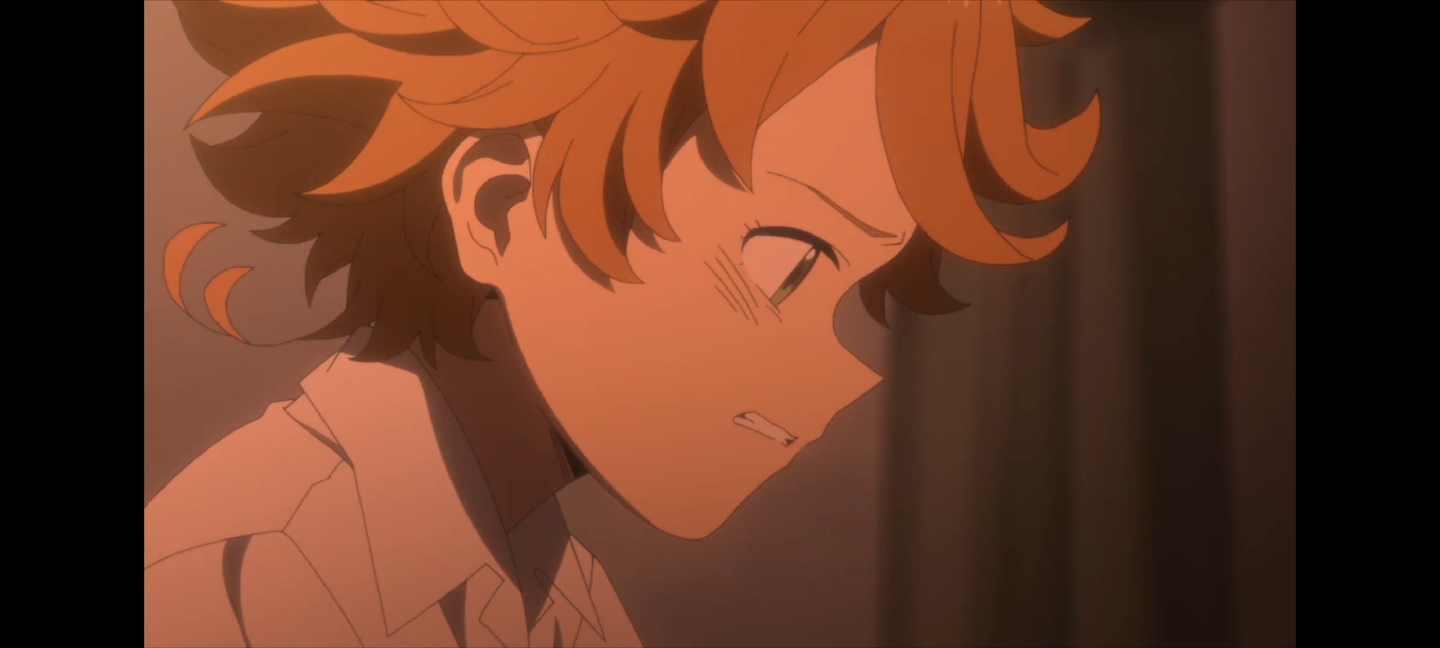 约定的梦幻岛,动画,动漫,番剧,二次元,ACG