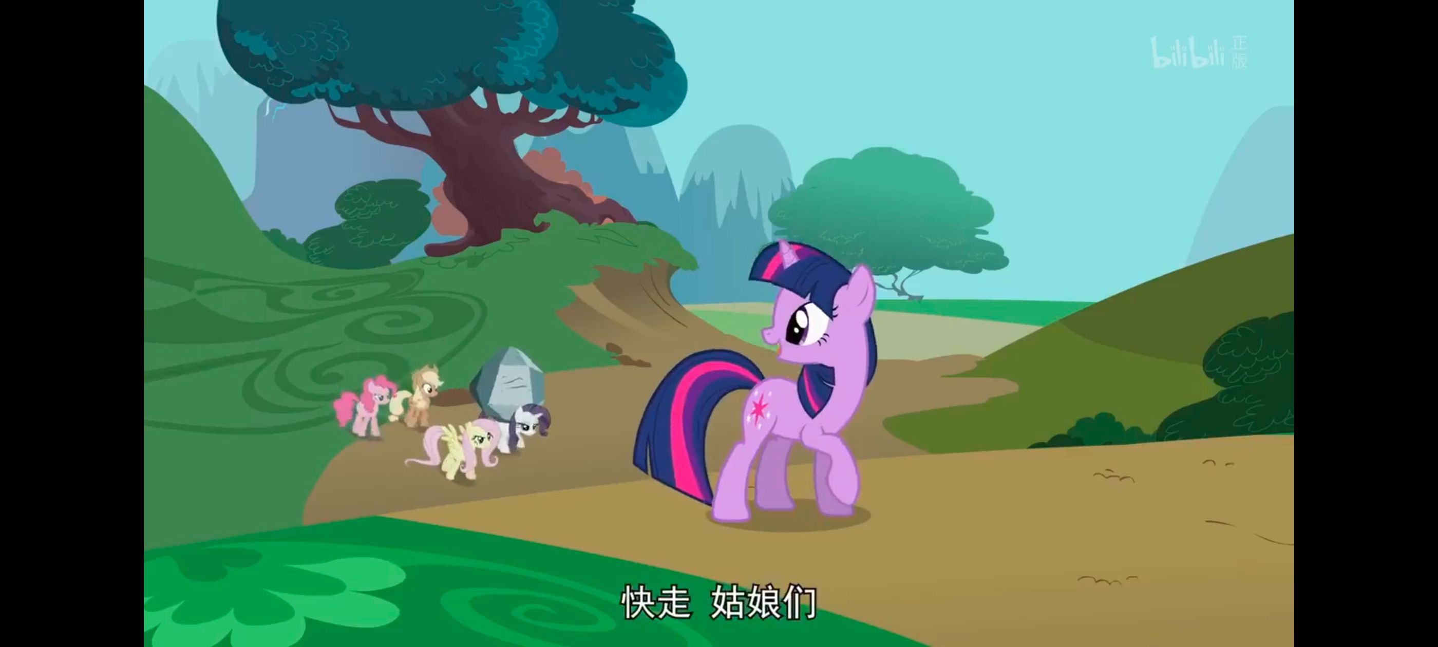 小马宝莉,彩虹小马,我的小马驹,小马宝莉友谊魔法,动漫,动画,番剧,ACG