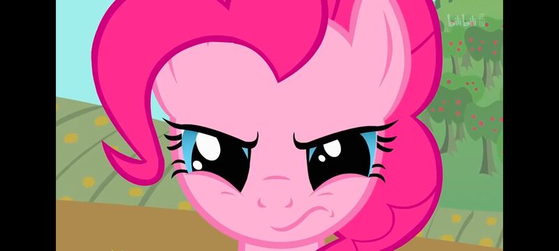 小马宝莉,小马宝莉友谊魔法,彩虹小马,我的小马驹,动画,动漫,番剧,ACG