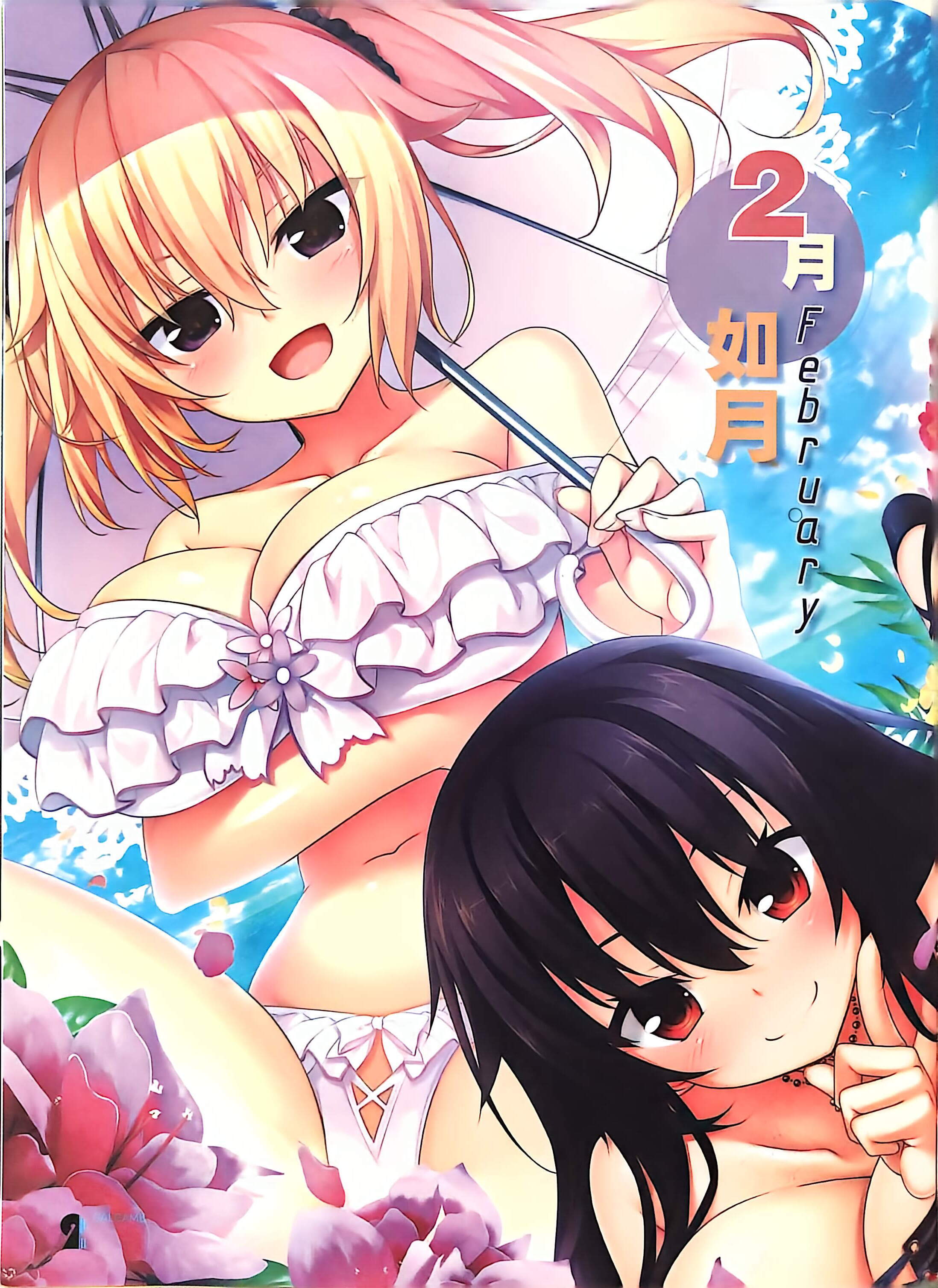 二次元狂热,GALgame,恋爱游戏