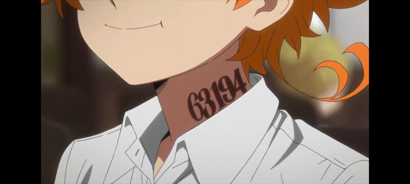 约定的梦幻岛,动画,动漫,番剧,ACG