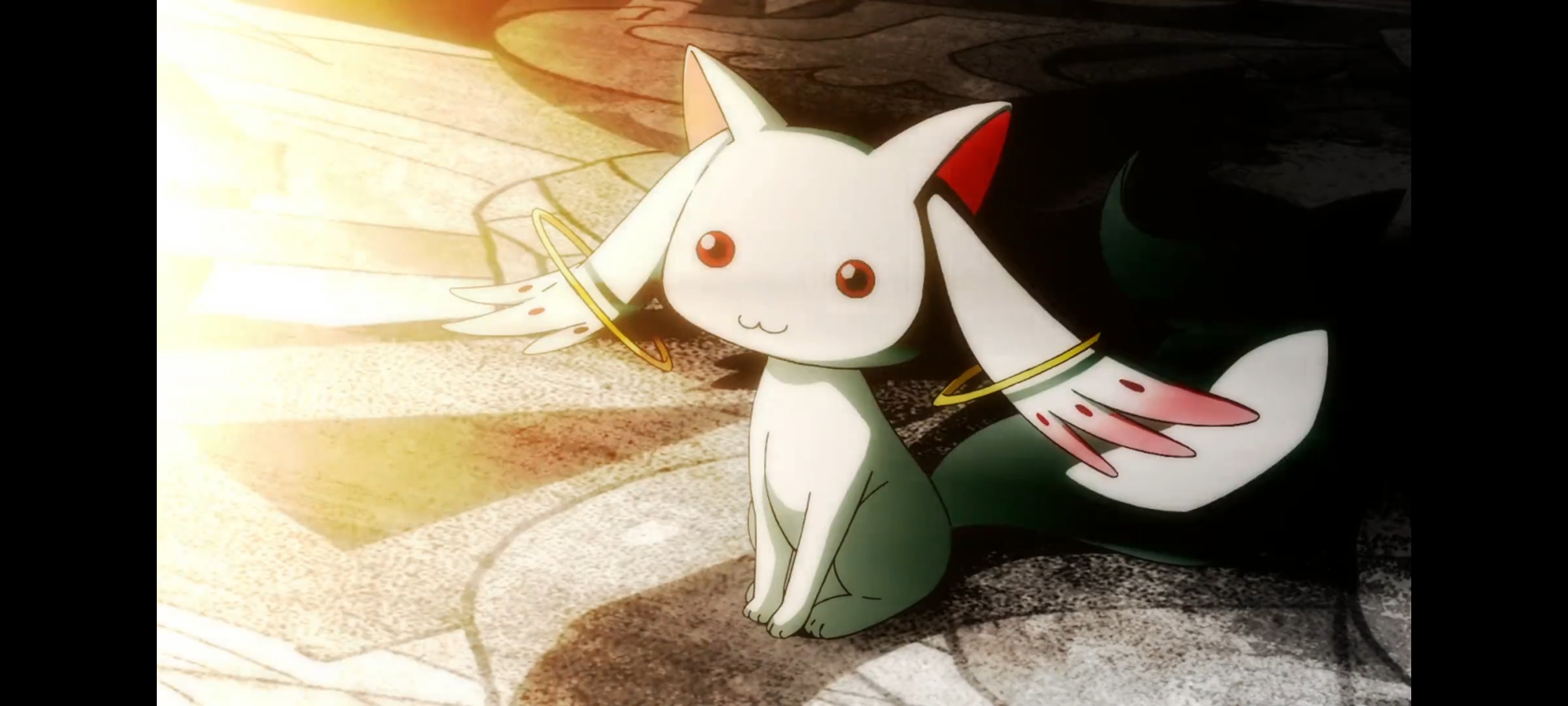 魔法少女小圆,魔法少女,动画,动漫,二次元,ACG