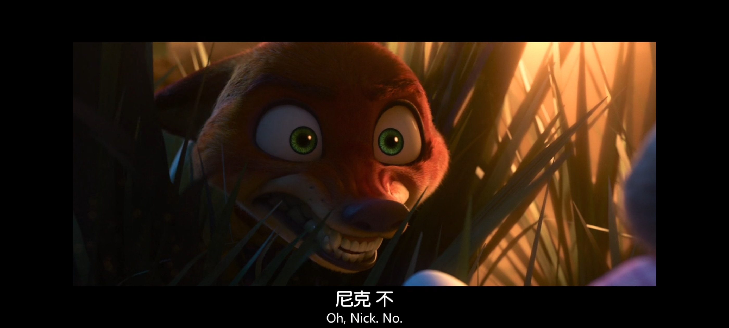 疯狂动物城,动画电影,动漫,动画,电影,二次元,ACG