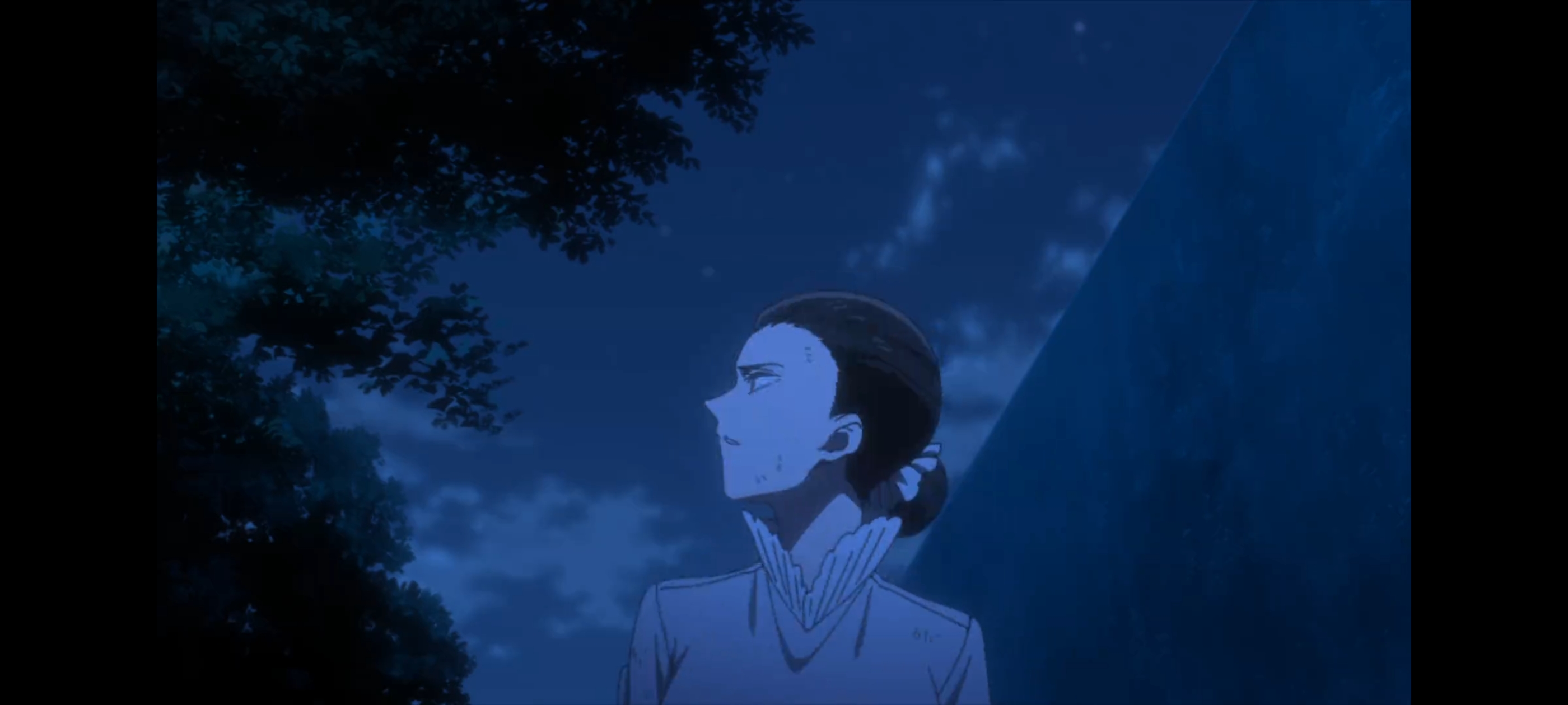 约定的梦幻岛,动画,动漫,番剧,二次元,ACG