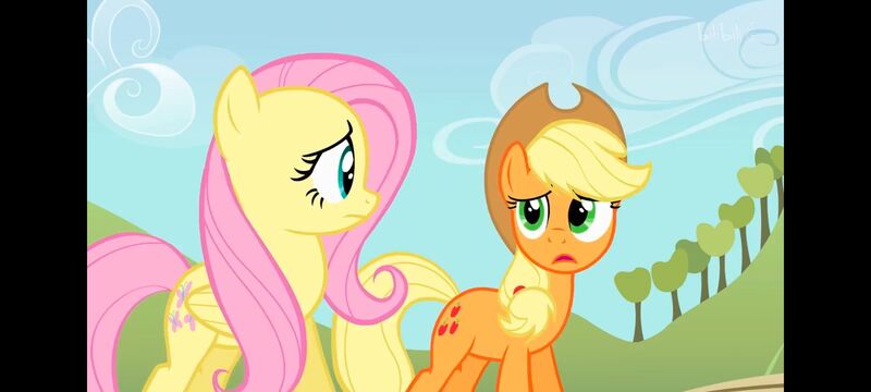 小马宝莉,小马宝莉友谊魔法,彩虹小马,我的小马驹,动画,动漫,番剧,ACG