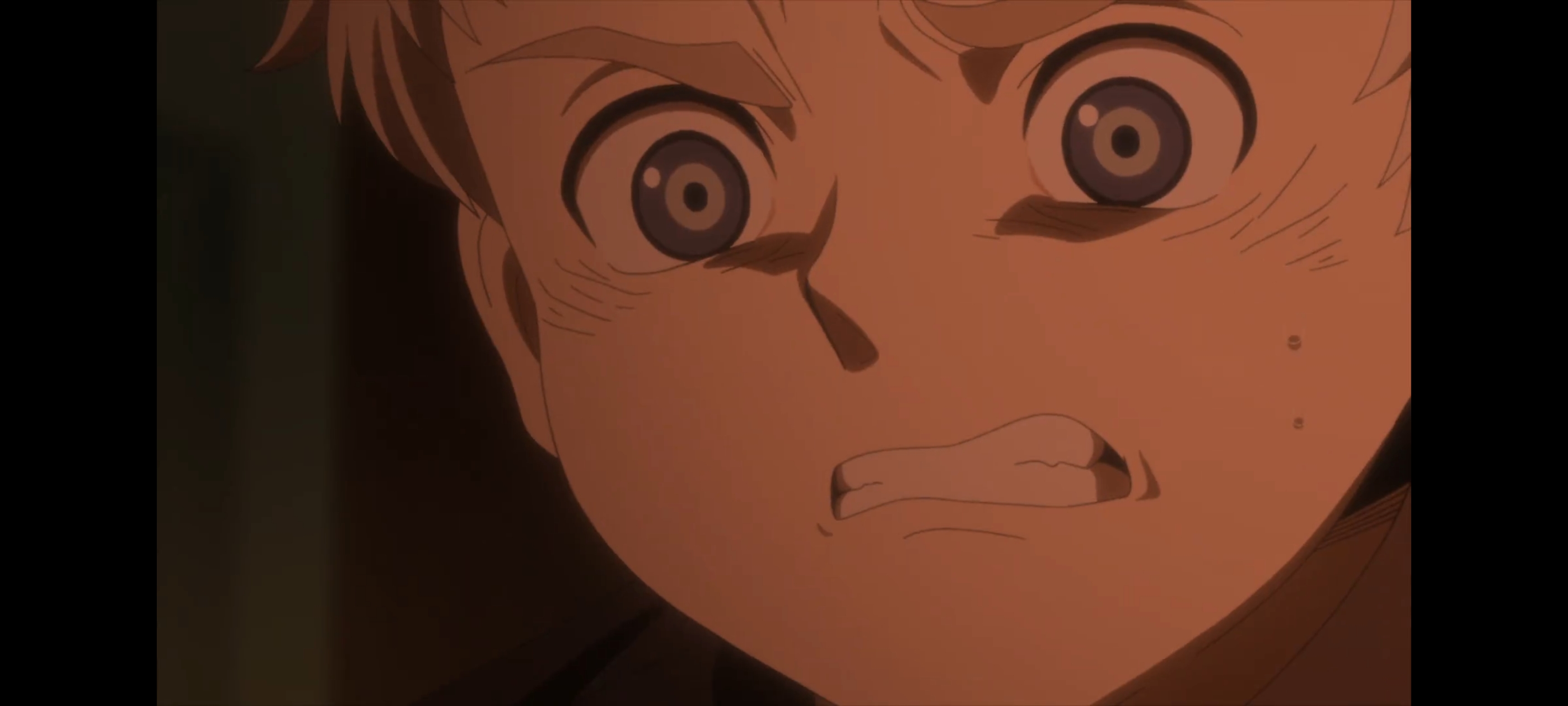 约定的梦幻岛,动画,动漫,番剧,二次元,ACG