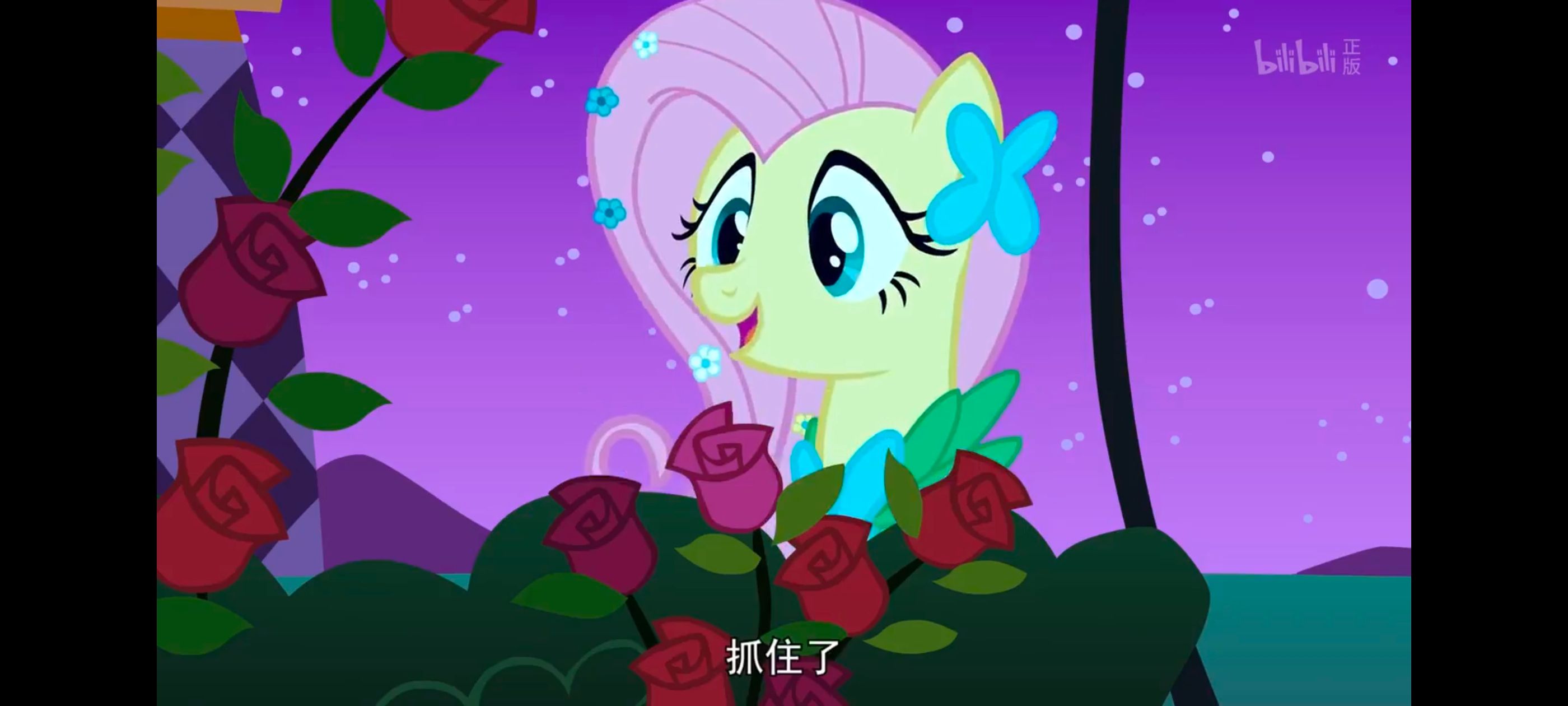 小马宝莉,小马宝莉友谊魔法,彩虹小马,我的小马驹,动画,动漫,番剧,ACG