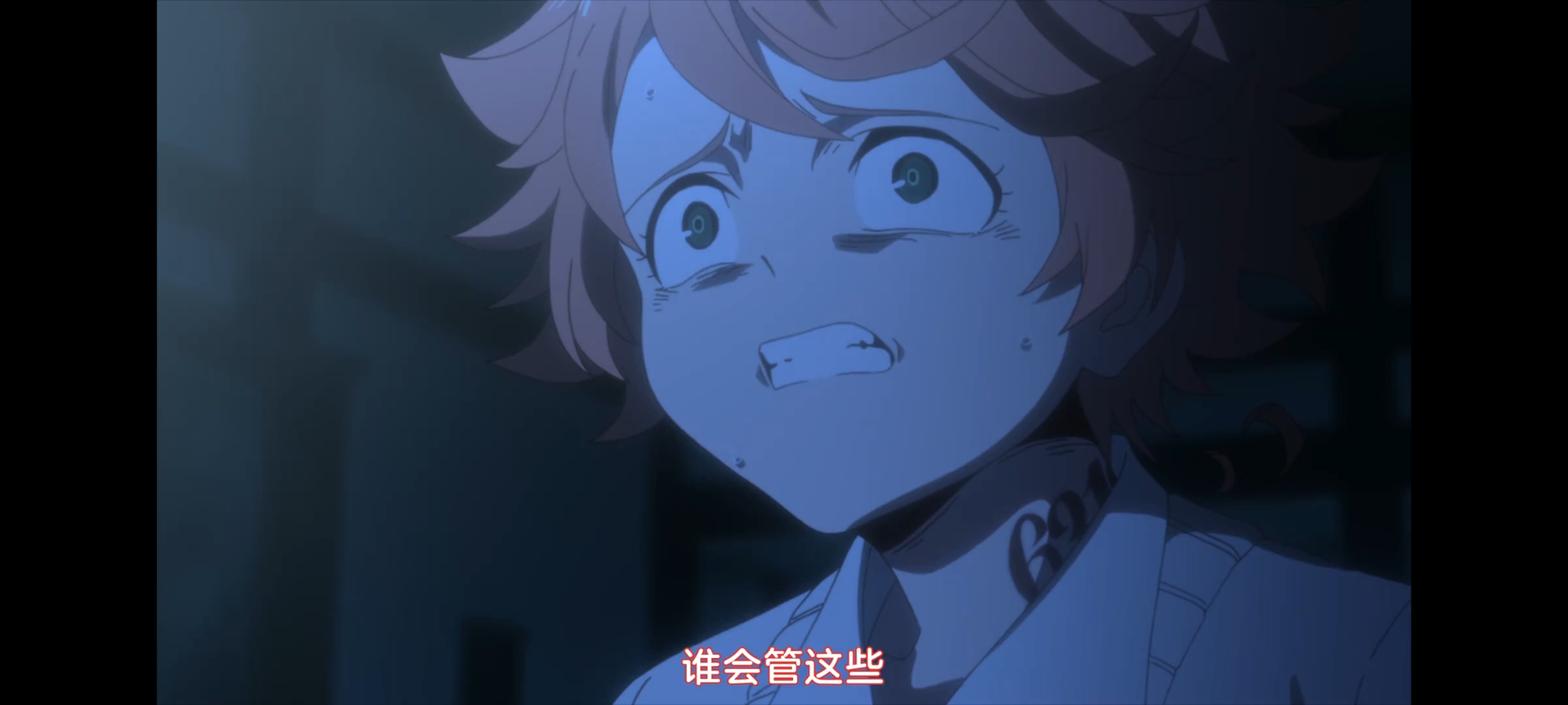 约定的梦幻岛,动画,动漫,番剧,二次元,ACG