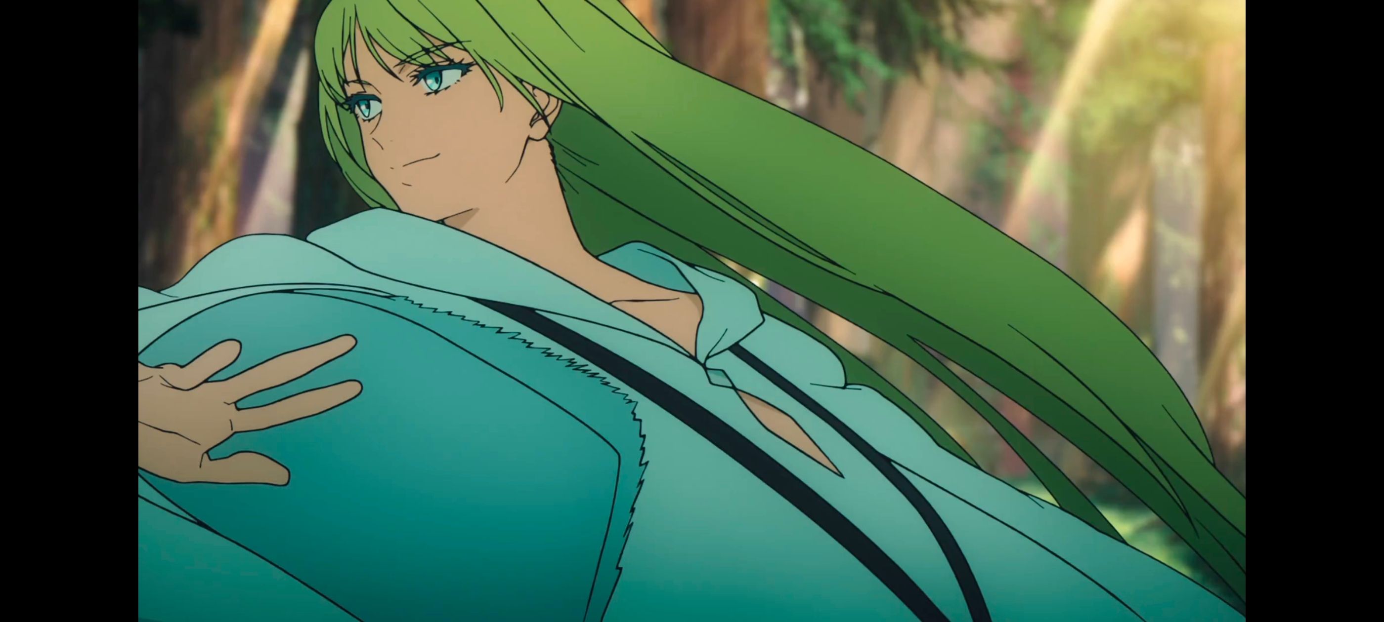 命运奇异赝品,FatestrangeFake,动画,动漫,番剧,ACG