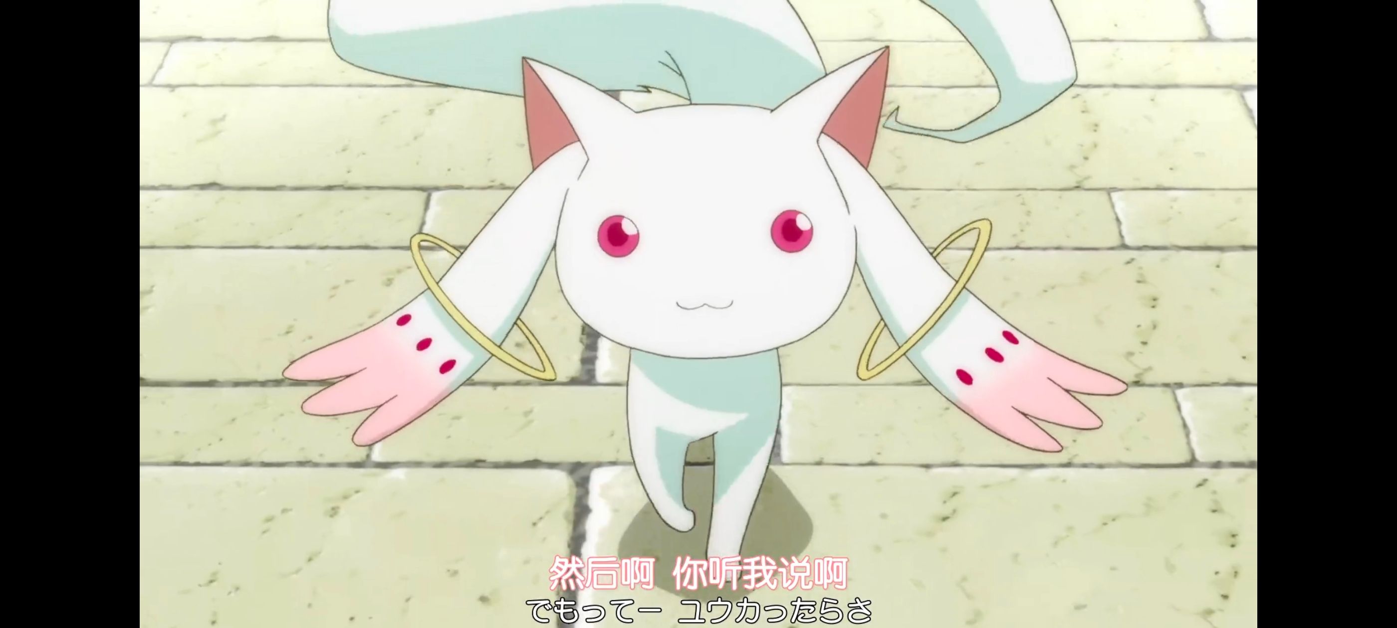 动漫,动画,魔法少女小圆,番剧,ACG